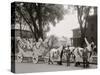 Bi-Centenary Celebration, Floral Parade, Freeman, Delameter Co. Float, Detroit, Mich.-null-Stretched Canvas