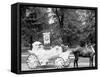 Bi-Centenary Celebration, Floral Parade, Ladies from Holy Parish Redeemer, Detroit, Mich.-null-Framed Stretched Canvas