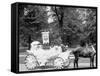 Bi-Centenary Celebration, Floral Parade, Ladies from Holy Parish Redeemer, Detroit, Mich.-null-Framed Stretched Canvas