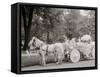Bi-Centenary Celebration, Floral Parade, Ladies of the Maccabees, Detroit, Mich.-null-Framed Stretched Canvas