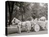 Bi-Centenary Celebration, Floral Parade, Ladies of the Maccabees, Detroit, Mich.-null-Stretched Canvas