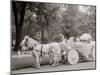 Bi-Centenary Celebration, Floral Parade, Ladies of the Maccabees, Detroit, Mich.-null-Mounted Photo