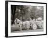 Bi-Centenary Celebration, Floral Parade, Ladies of the Maccabees, Detroit, Mich.-null-Framed Photo