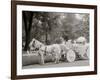 Bi-Centenary Celebration, Floral Parade, Ladies of the Maccabees, Detroit, Mich.-null-Framed Photo