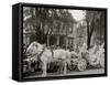 Bi-Centenary Celebration, Floral Parade, Nume Cadillacs Carriage Float, Detroit, Mich.-null-Framed Stretched Canvas