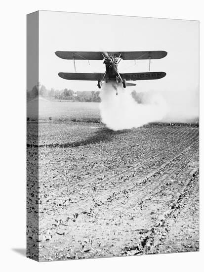 Bi-Plane Dusting Field with Pesticides-David McLane-Stretched Canvas