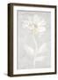 Bianco Fiore 1-Jurgen Gottschlag-Framed Art Print