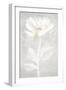 Bianco Fiore 2-Jurgen Gottschlag-Framed Art Print