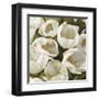 Bianco I-Leonardo Sanna-Framed Art Print