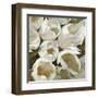 Bianco II-Leonardo Sanna-Framed Art Print