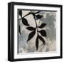 Bianco Visione II-null-Framed Giclee Print