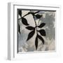 Bianco Visione II-null-Framed Giclee Print