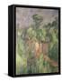 Bibemus Quarry, 1898-1900-Paul Cézanne-Framed Stretched Canvas