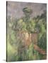 Bibemus Quarry, 1898-1900-Paul Cézanne-Stretched Canvas