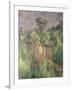 Bibemus Quarry, 1898-1900-Paul Cézanne-Framed Giclee Print