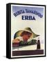 Bibita Tamarinda Soda-null-Framed Stretched Canvas