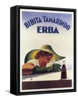 Bibita Tamarinda Soda-null-Framed Stretched Canvas