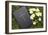 Bible on the grass with primrose at springtime-null-Framed Giclee Print