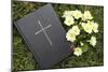 Bible on the grass with primrose at springtime-null-Mounted Giclee Print