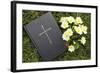 Bible on the grass with primrose at springtime-null-Framed Giclee Print