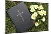 Bible on the grass with primrose at springtime-null-Mounted Giclee Print