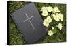 Bible on the grass with primrose at springtime-null-Stretched Canvas