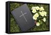 Bible on the grass with primrose at springtime-null-Framed Stretched Canvas