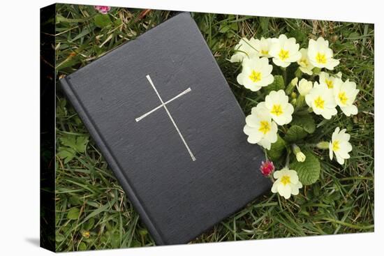 Bible on the grass with primrose at springtime-null-Stretched Canvas