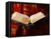 Bible Reading, Lome, Togo, West Africa, Africa-null-Framed Stretched Canvas