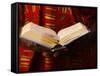 Bible Reading, Lome, Togo, West Africa, Africa-null-Framed Stretched Canvas