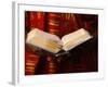 Bible Reading, Lome, Togo, West Africa, Africa-null-Framed Photographic Print