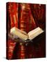 Bible Reading, Lome, Togo, West Africa, Africa-null-Stretched Canvas