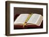Bible, Savoie, France-Godong-Framed Photographic Print