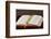 Bible, Savoie, France-Godong-Framed Photographic Print