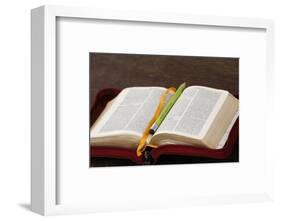 Bible, Savoie, France-Godong-Framed Photographic Print