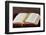 Bible, Savoie, France-Godong-Framed Photographic Print