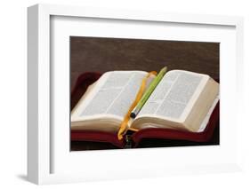 Bible, Savoie, France-Godong-Framed Photographic Print