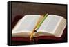 Bible, Savoie, France-Godong-Framed Stretched Canvas