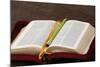 Bible, Savoie, France-Godong-Mounted Photographic Print