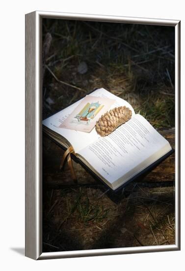 Bible with pine cone, Haute Savoie, France-Godong-Framed Photographic Print