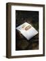Bible with pine cone, Haute Savoie, France-Godong-Framed Photographic Print
