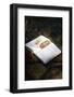 Bible with pine cone, Haute Savoie, France-Godong-Framed Photographic Print