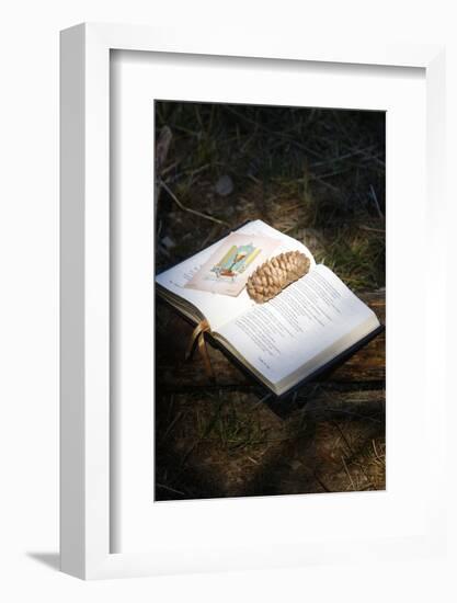 Bible with pine cone, Haute Savoie, France-Godong-Framed Photographic Print