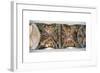 Biblical Scenes-null-Framed Giclee Print