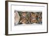 Biblical Scenes-null-Framed Giclee Print