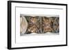 Biblical Scenes-null-Framed Giclee Print