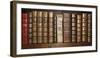 Biblioteca I-Tony Koukos-Framed Giclee Print