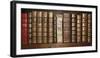 Biblioteca I-Tony Koukos-Framed Giclee Print