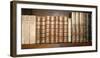 Biblioteca II-Tony Koukos-Framed Giclee Print