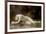 Biblis or Byblus-William Adolphe Bouguereau-Framed Premium Giclee Print